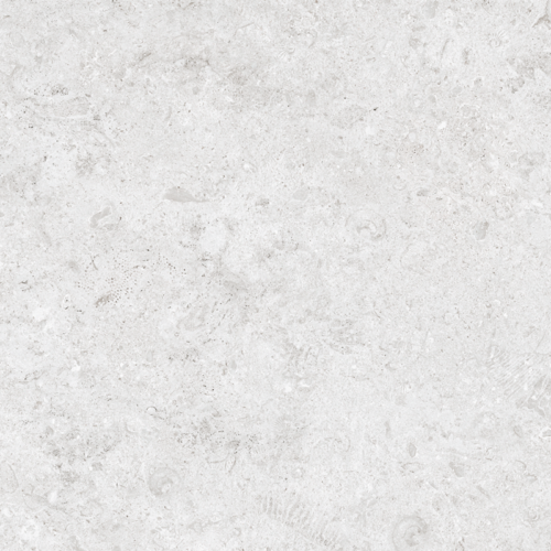 24x48 CORALSTONE BIANCO L01