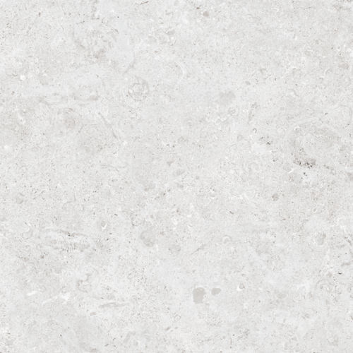 24x48 CORALSTONE BIANCO L02