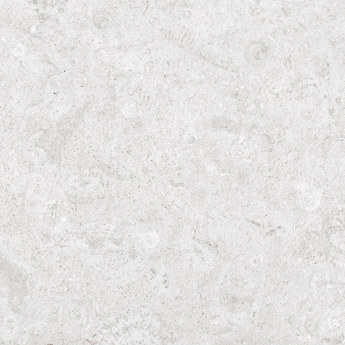 24x48 CORALSTONE BIANCO L03