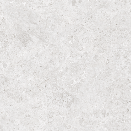 24x48 CORALSTONE BIANCO L04