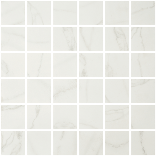 ECOSTONES VenatoWhiteMatteMalla 2x2.png